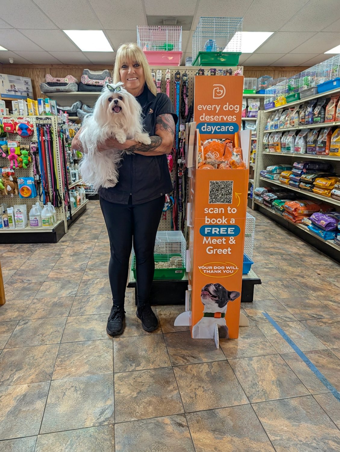 Floor standee, independent pet store